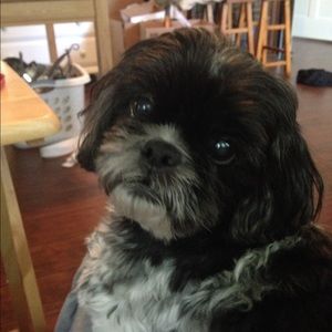 Meet your Posher, Noelle