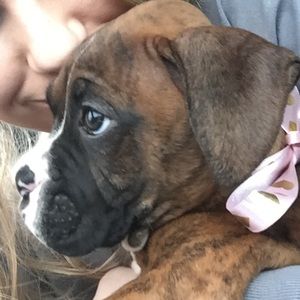 Meet your Posher, Brigid