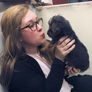 Meet your Posher, Kendall