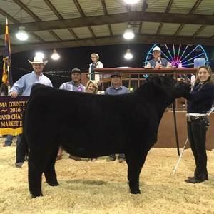 Meet your Posher, Lindsey