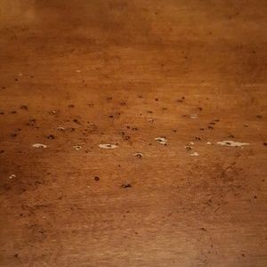 Meet your Posher, Syd