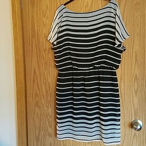 White House Black Market Dresses - White House Black Market Striped Dress sz L White House Black Market Dresses - White House Black Market Striped Dress sz L