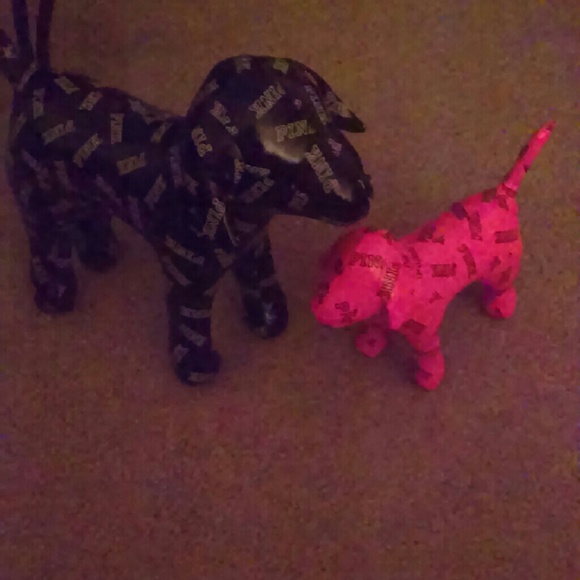 PINK dogs