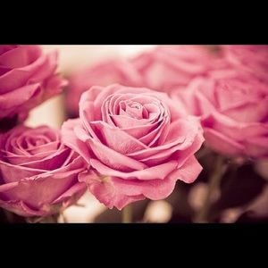 Meet your Posher, Brianda