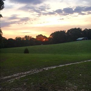 Meet your Posher, Carlee