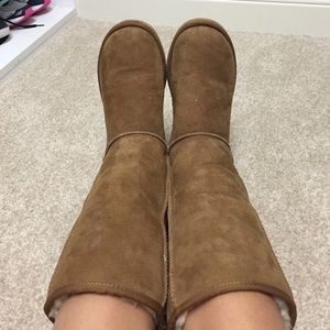 Tall Chestnut Brown Uggs