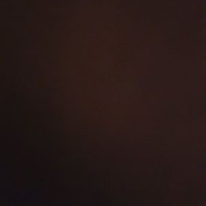 Meet your Posher, Rosa