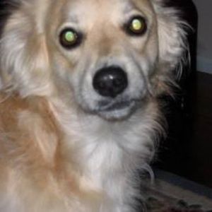 Meet your Posher, Therese