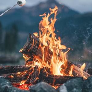 Meet your Posher, Katrina