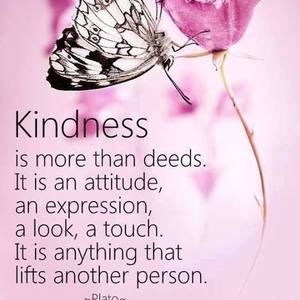 Meet your Posher, Judy