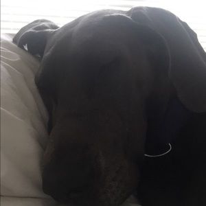 Meet your Posher, Heather