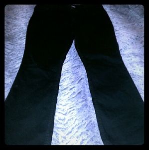 NWOT Rider's Deep Black Slimming Jeans Size 18P