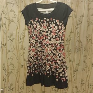 Floral Skater Dress with Faux Peter Pan Collar