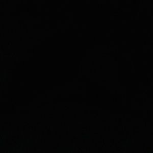 Meet your Posher, Shantece