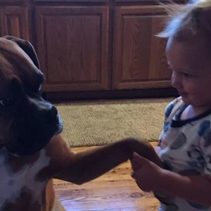 Meet your Posher, Robin