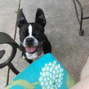 Meet your Posher, Jessica