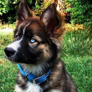 Meet your Posher, Cailey