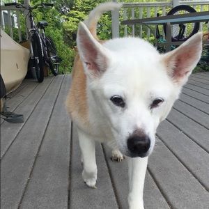 Meet your Posher, Mich