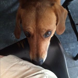 Meet your Posher, Kara