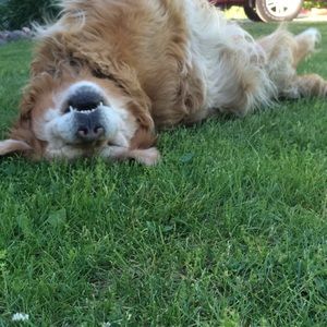 Meet your Posher, Holly