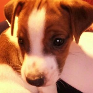 Meet your Posher, Lynn