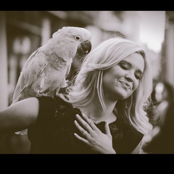 Meet your Posher, Taylor