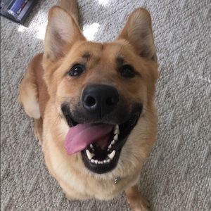 Meet your Posher, Hannah