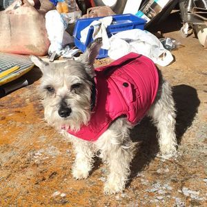 Meet your Posher, Tamara