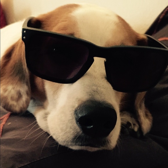 Meet your Posher, Teresa - Picture 1 of 1