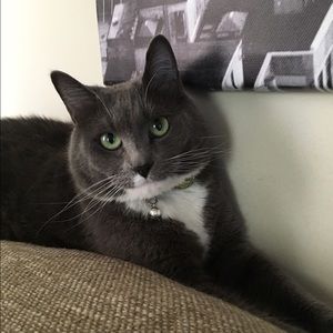 Meet your Posher, Emilie