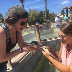 Meet your Posher, Danza