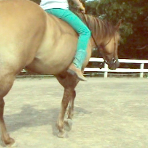 Levi's Aqua / Teal Straight-legged Jeans - Picture 4 of 4