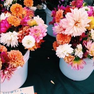 Meet your Posher, Madison