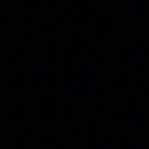 Meet your Posher, Naomi