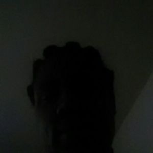 Meet your Posher, Shanna