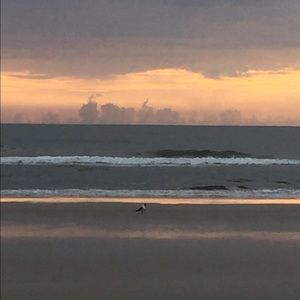 Meet your Posher, Mitzianne