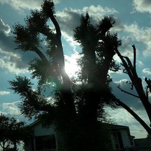 Meet your Posher, Joyce