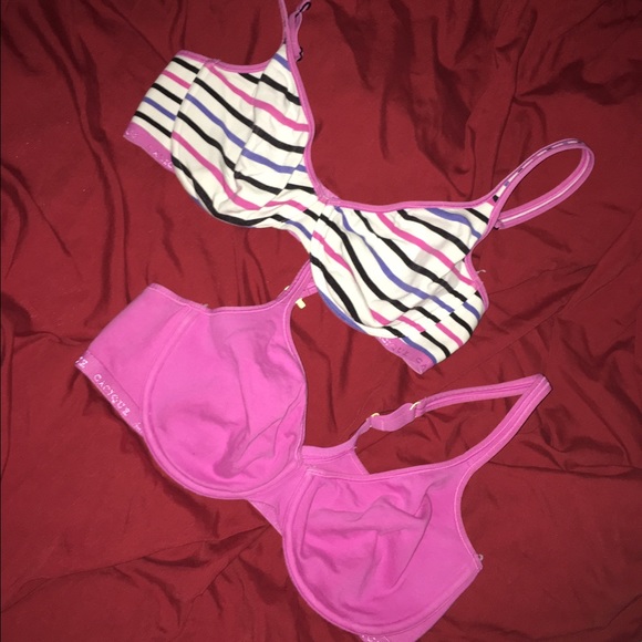 Basic Bra Bundle