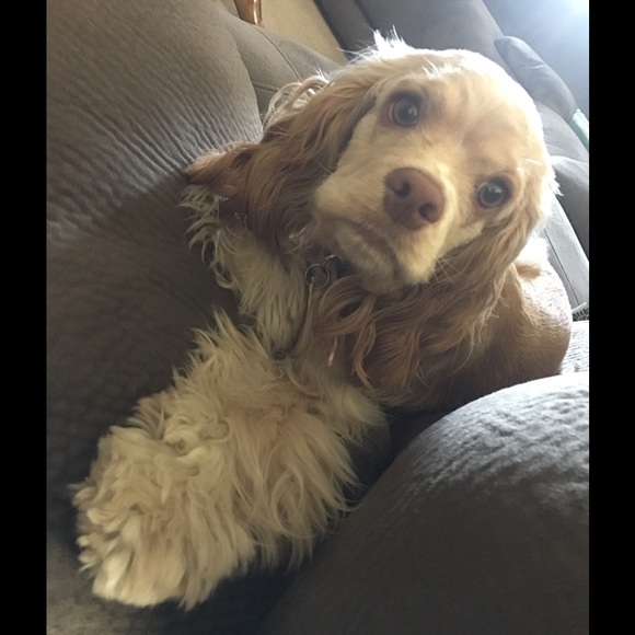 Meet your Posher, Wendy - Picture 1 of 1