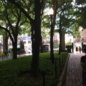 Meet your Posher, Rose