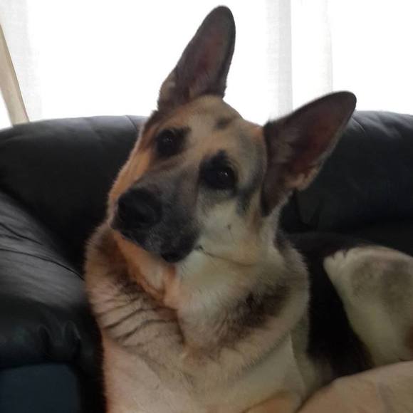 Meet your Posher, Mary