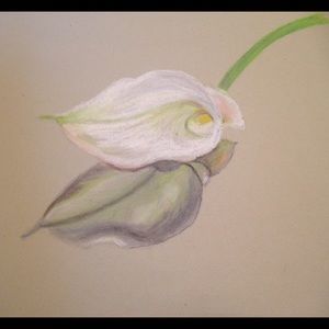 Meet your Posher, Annette