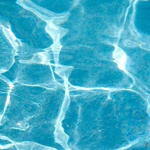 Meet your Posher, Shjdd