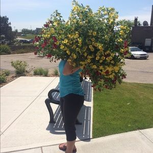 Meet your Posher, Diane