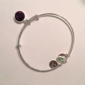 Alex&Ani Amethyst bracelet