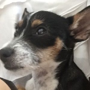 Meet your Posher, Emory