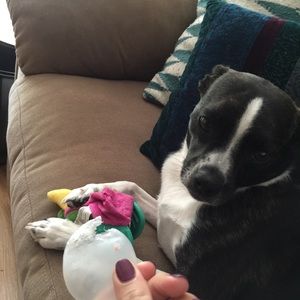 Meet your Posher, Natalie