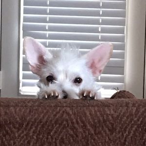 Meet your Posher, Katia