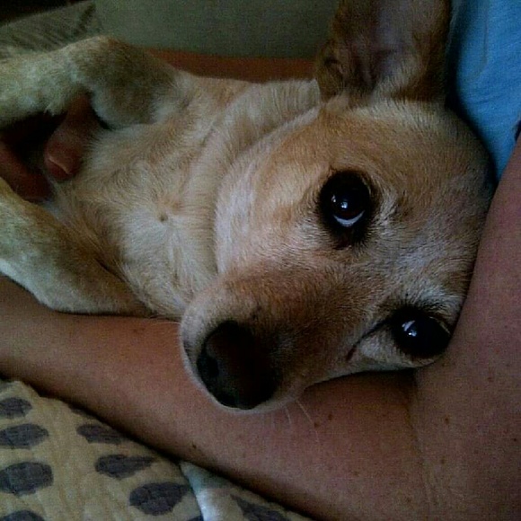 Meet your Posher, Julie - Picture 2 of 4