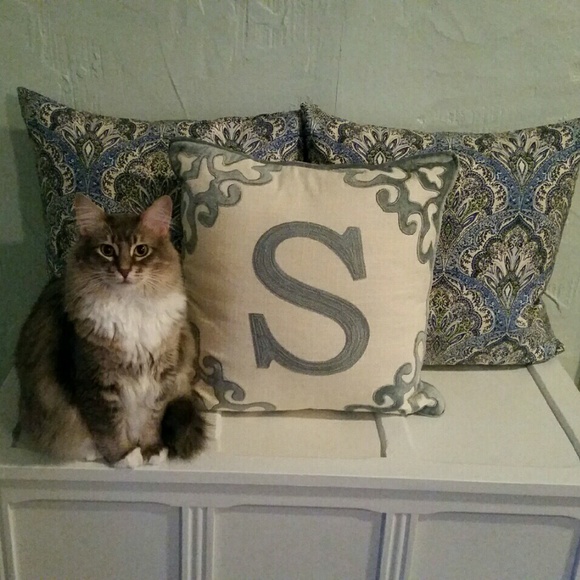 Meet your Posher, Julie - Picture 4 of 4